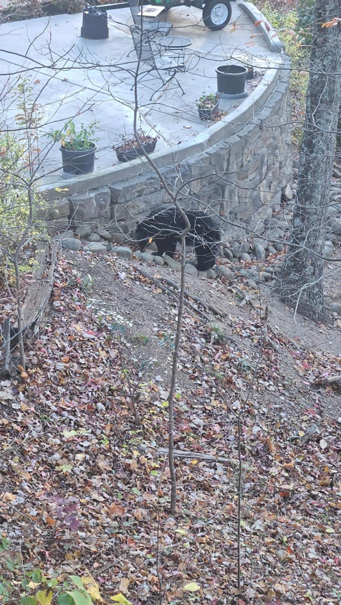 Southern Oak At Chalet Village - 5 Minutes From Gatlinburg And National Park מראה חיצוני תמונה